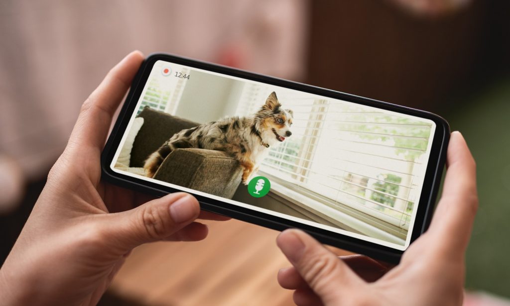 Une personne parle en temps réel à son chien qui est seul à la maison grâce au haut parleur de la caméra de vidéosurveillance.